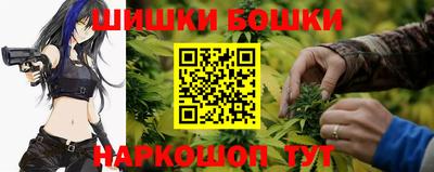МДПВ Пушкино